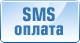 Оплата отправкой SMS - доступно в 40 странах